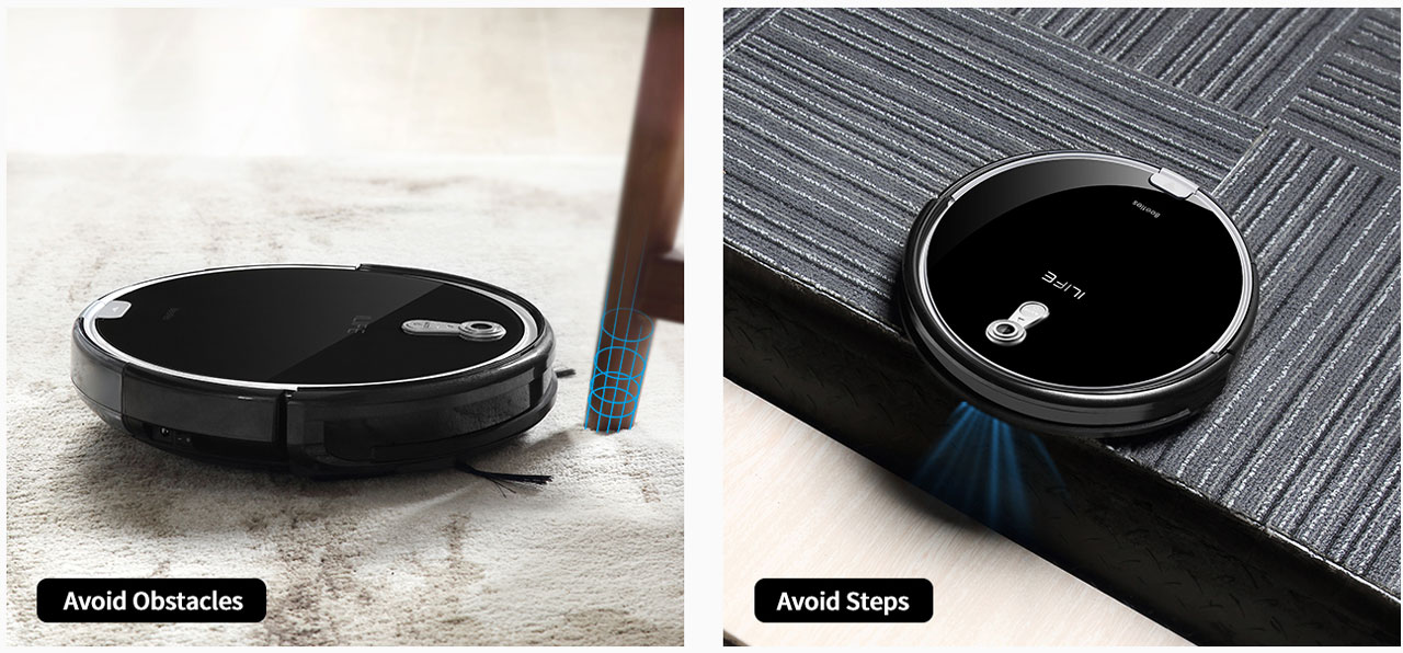 10_Responds to Its Surroundings